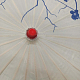 photo-2976749